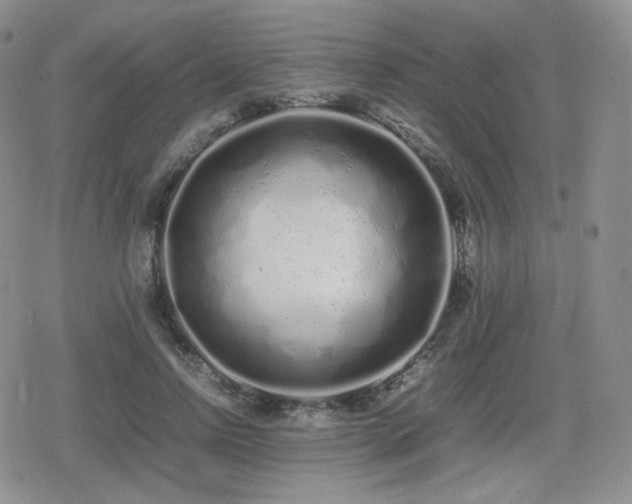 X0000080110742200612081226