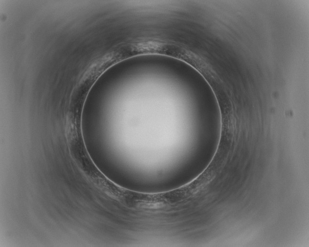 X0000080110743200612081226