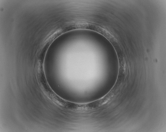 X0000080110744200612081226