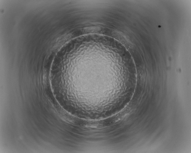 X0000080110745200612081226
