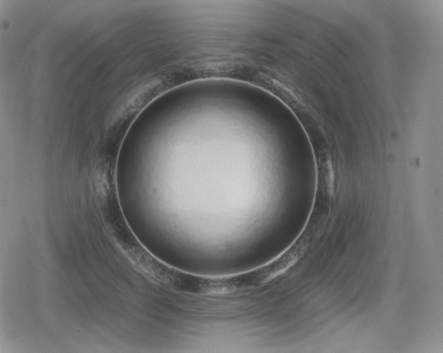 X0000080110746200612081226