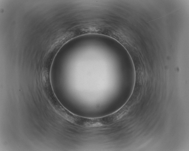 X0000080110747200612081227