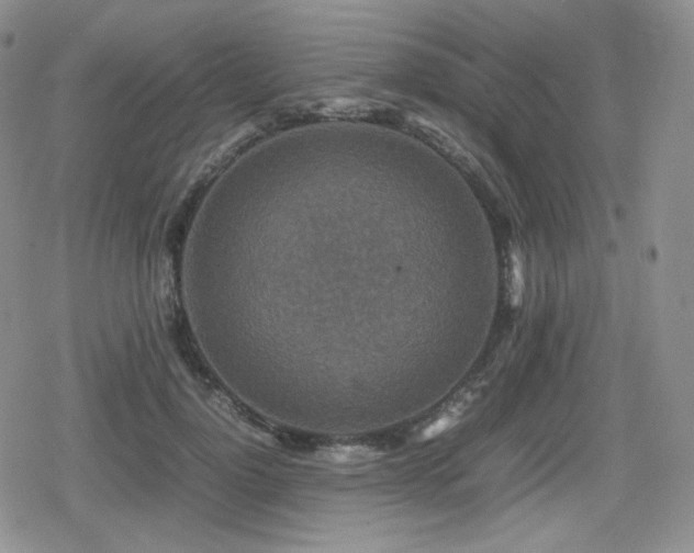 X0000080110748200612081227