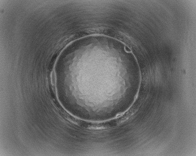 X0000080110749200612081227