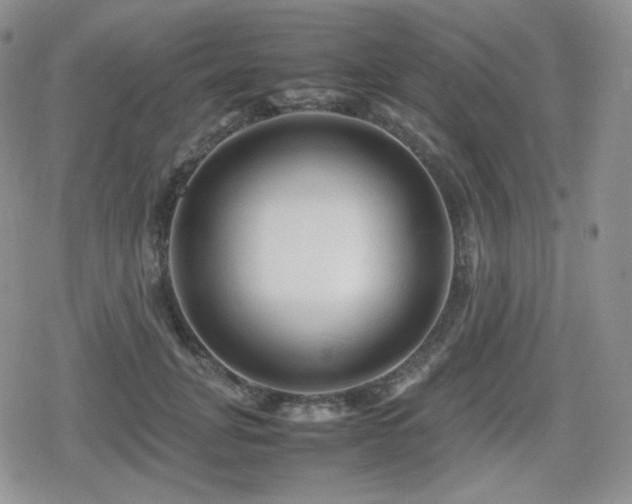X0000080110751200612081227