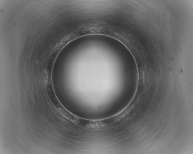 X0000080110752200612081227