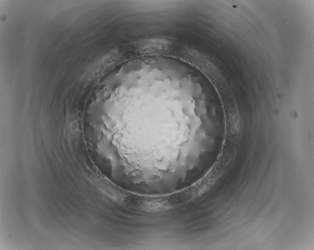 X0000080110753200612081227