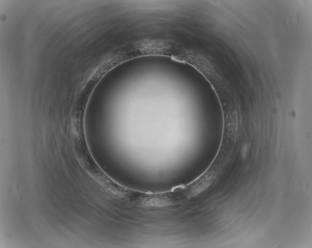 X0000080110755200612081227