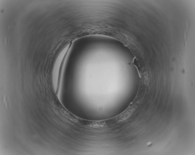X0000080110756200612081227