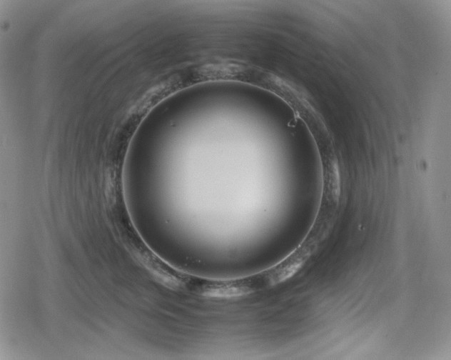 X0000080110759200612081227