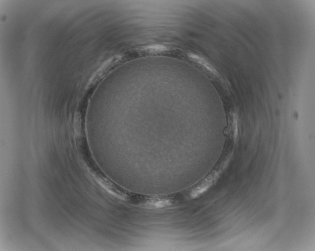 X0000080110760200612081227