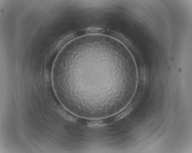 X0000080110761200612081227