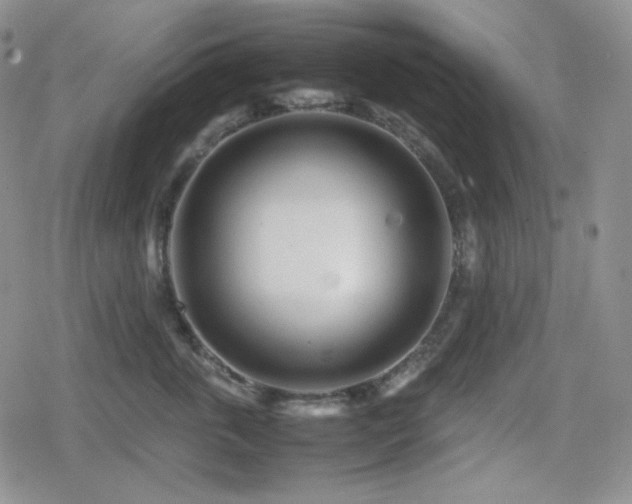 X0000080110763200612081227