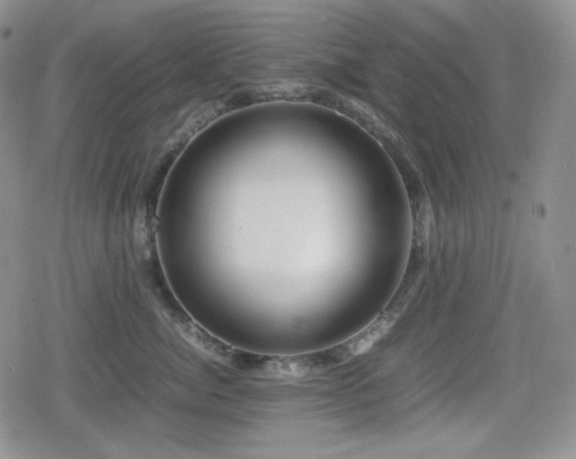 X0000080110764200612081227