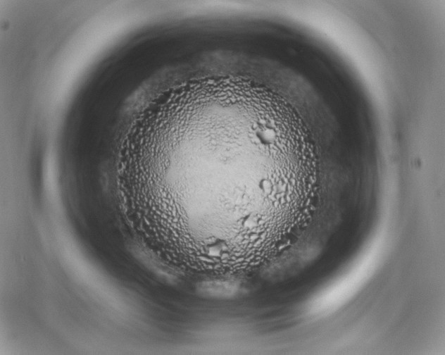 X0000080110765200612081227