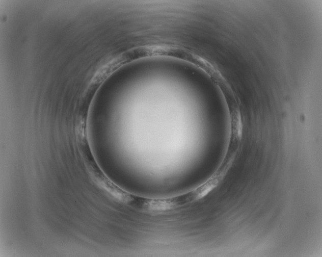 X0000080110766200612081227