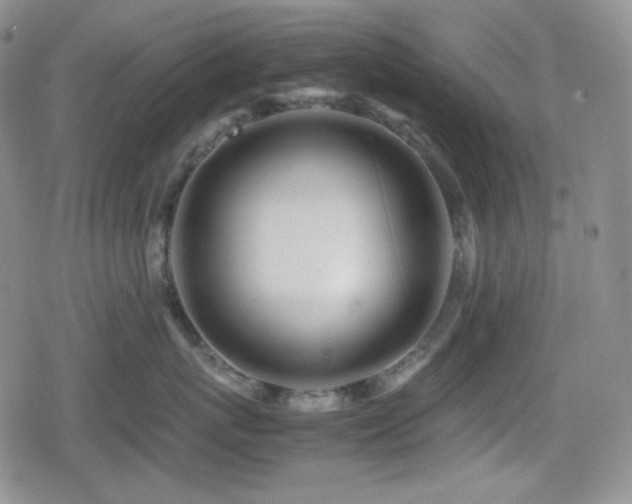 X0000080110767200612081227