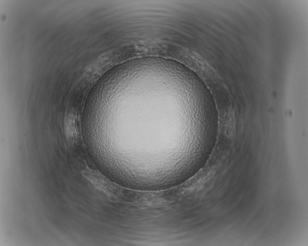 X0000080110770200612081226