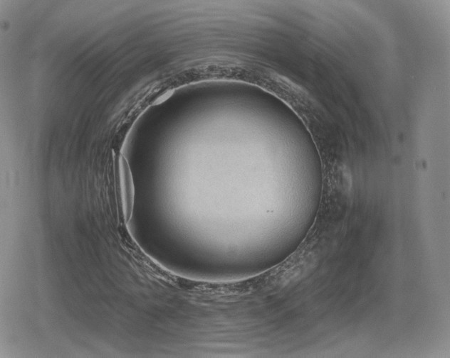 X0000080110774200612081226