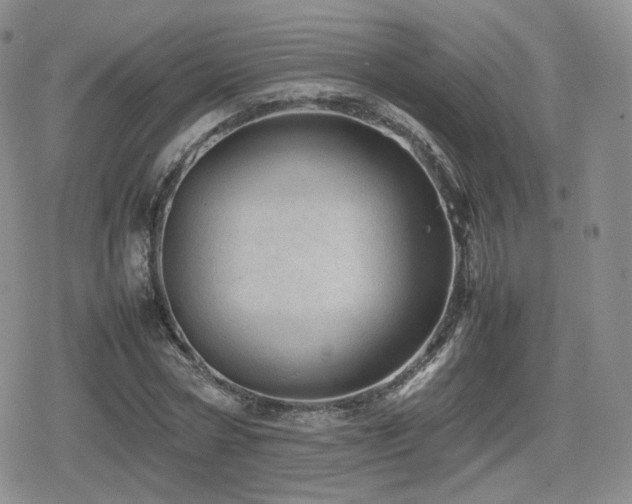 X0000080110778200612081226