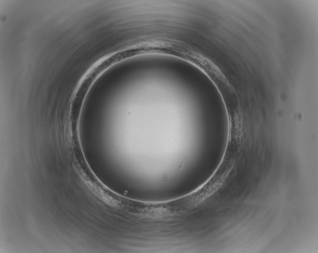 X0000080110784200612081226