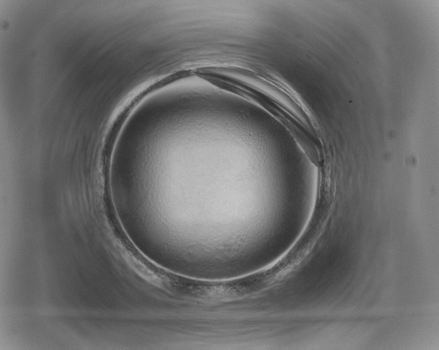 X0000080110787200612081226