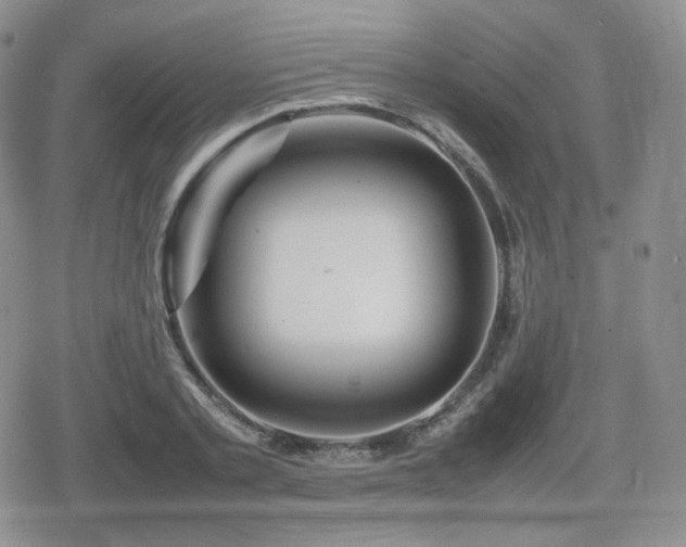 X0000080110789200612081226