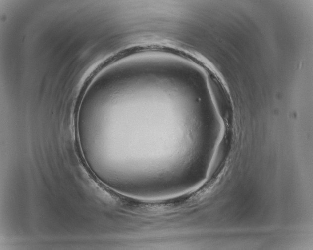 X0000080110791200612081226