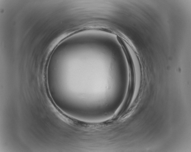 X0000080110803200612081226