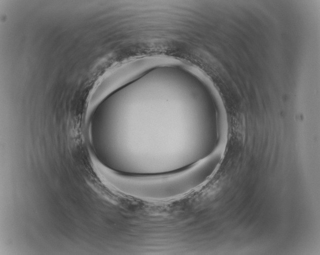 X0000080110818200612081225