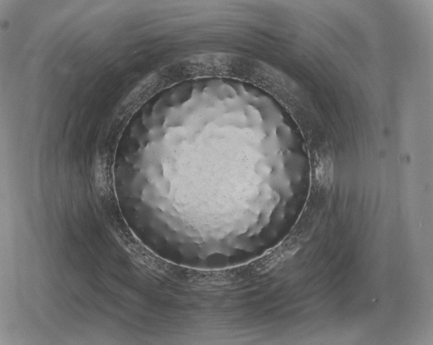 X0000080110819200612081225