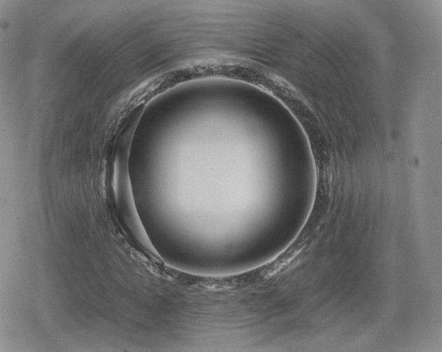 X0000080110822200612081225