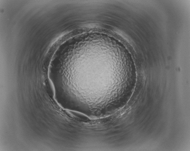 X0000080110823200612081225