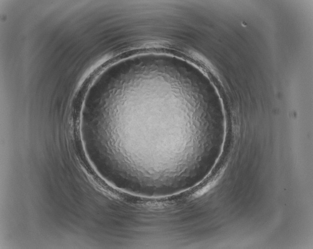 X0000080110827200612081225