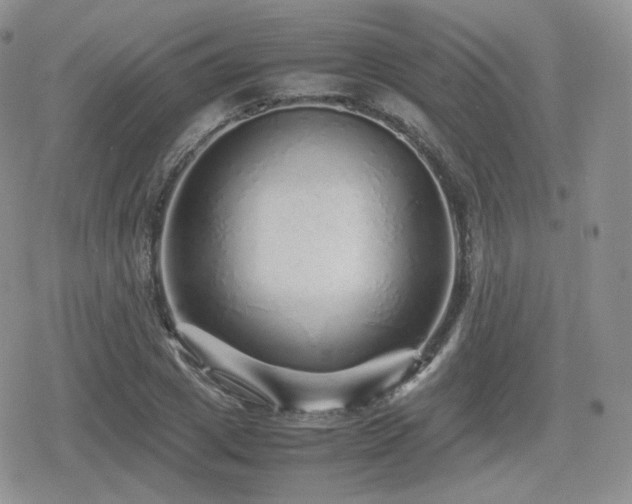 X0000080110833200612081225