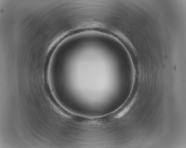 X0000080110834200612081225