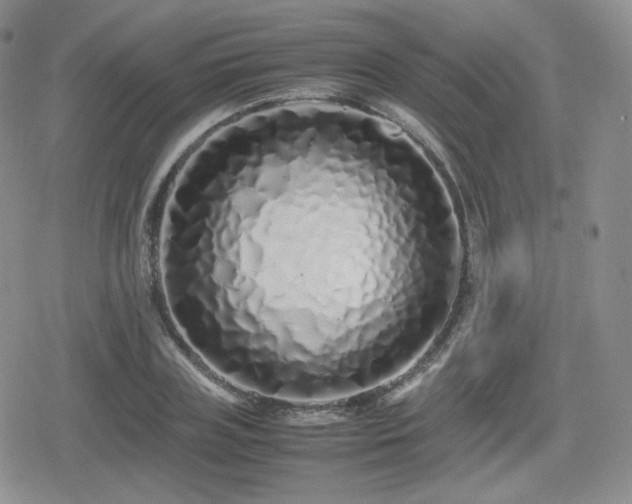 X0000080110835200612081225