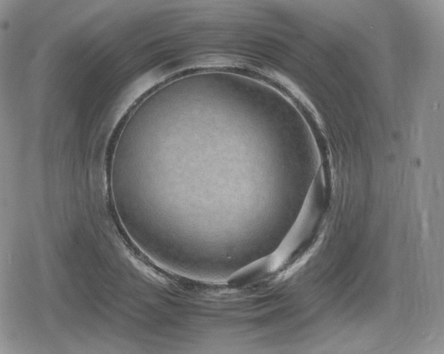 X0000080110837200612081225