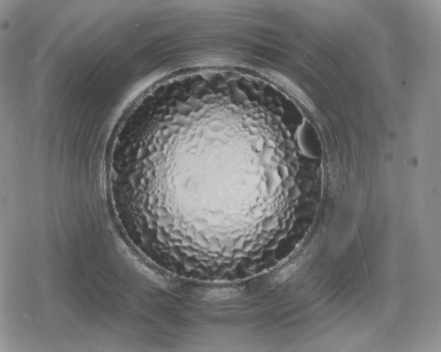 X0000080110839200612081225