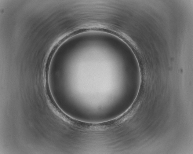 X0000080110840200612081225