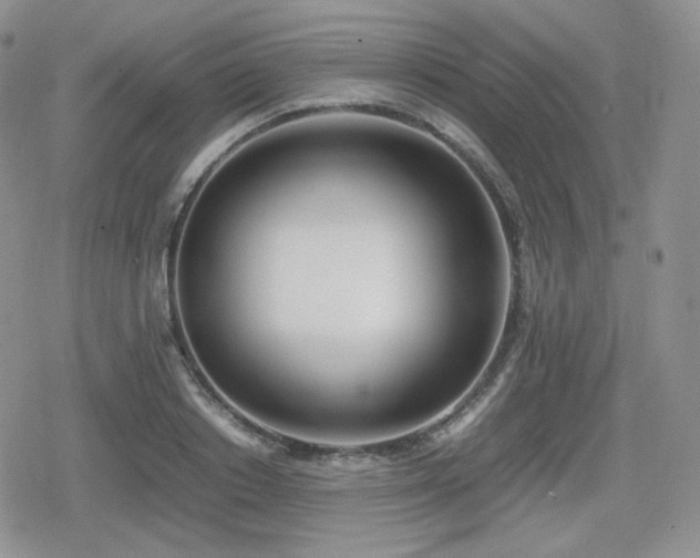 X0000080110842200612081225