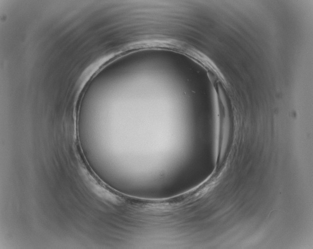 X0000080110844200612081225