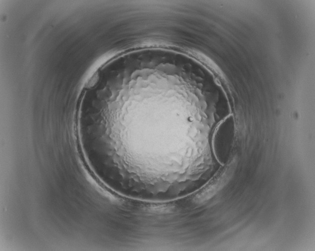 X0000080110847200612081225