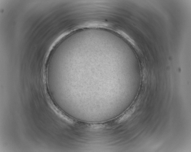 X0000080110848200612081225