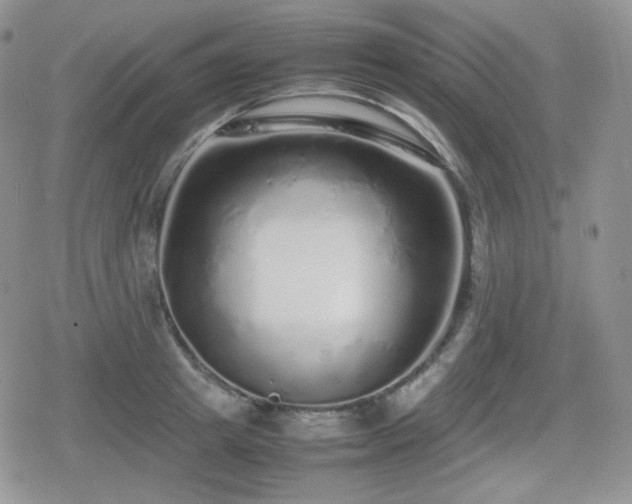 X0000080110849200612081225