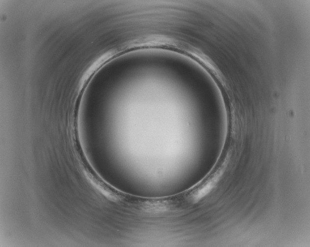X0000080110850200612081225
