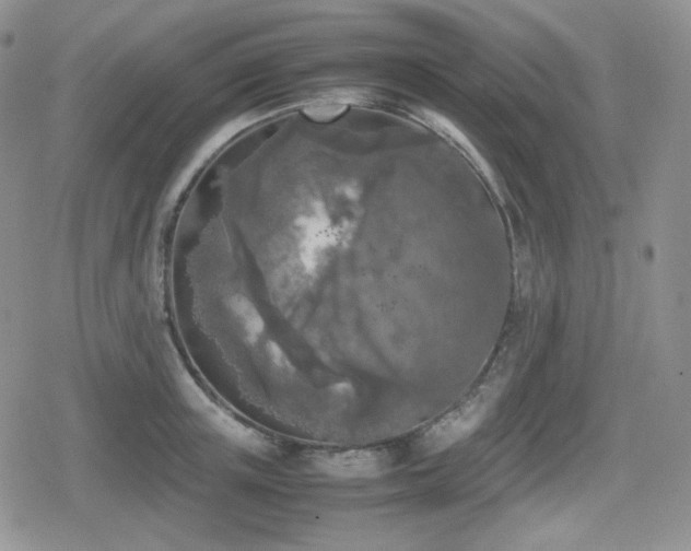 X0000080110851200612081225