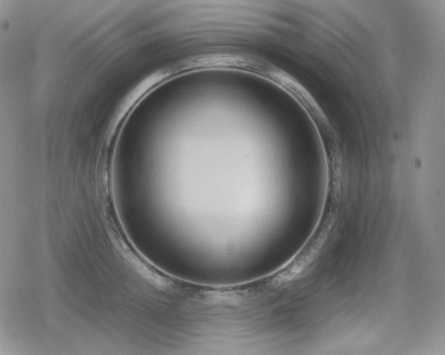 X0000080110852200612081225