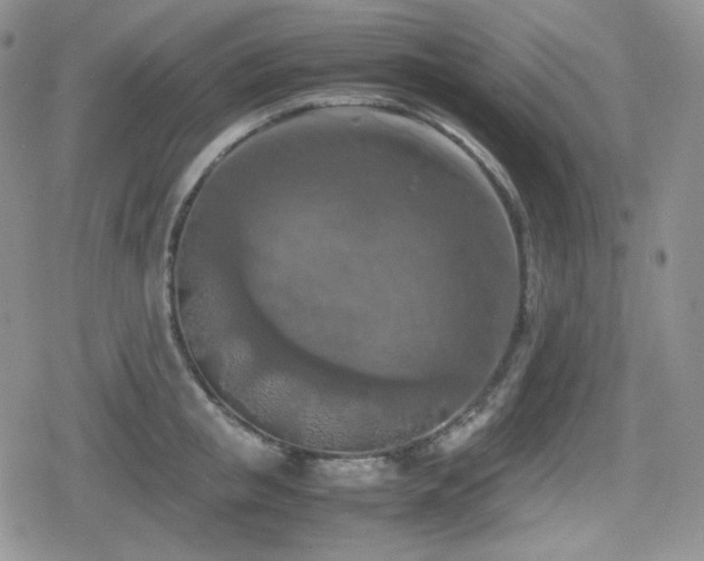 X0000080110853200612081225