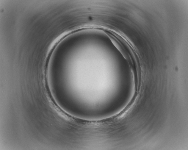 X0000080110854200612081225